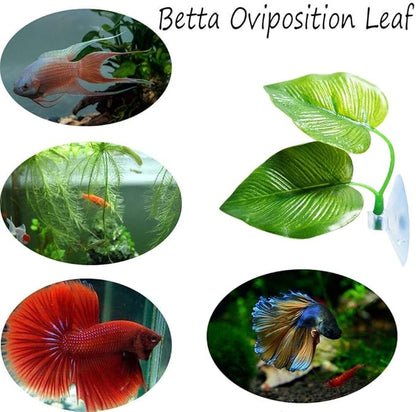 CousDUoBe 1 Pack Betta Fish Leaf Pad Improves Betta's Health by Simulating The Natural Habitat - Natural, Organic, Comfortable Rest Area for Fish Aquarium Ornaments