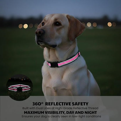 Dog Training Collar Replacement and Shock Collar Strap - 3/4 Inch Wide Adjustable Nylon Band with Reflective Replacement Strap for E Collar and Bark Collar (Pink)