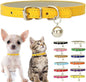 Gold Puppy Collar with Bell, Soft Pu Leather Cat Collars Adjustable Buckle for XXS XS Extra Small Medium Tiny Female Male Boys Girls Pets Dogs Kitten Teacup Yorkie S