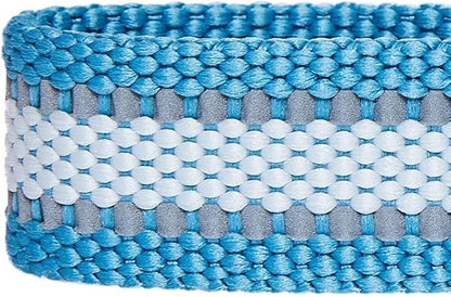 Blueberry Pet Essentials Reflective Dog Collar for Medium Dogs | Adjustable Nylon Collar in Sky Blue | Classic Solid Color Matching Medium Dog Collar
