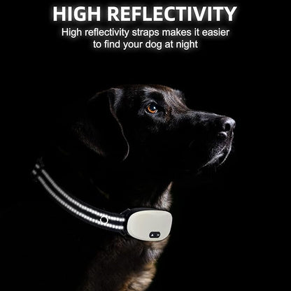 Collar Replacement Strap, Reflective Replacement Nylon Collar Strap Dog GPS Training Bark Receiver Collars, Durable Adjustable E Collar Straps for Small Medium Large Dogs, Black