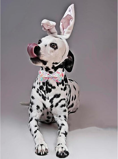 Lionheart glory Dog Bow Collar Easter Day Dog Collar for Medium Dogs,Rabbits Dog Collars with Bowtie Colorful Dog Collar Spring Collars Pet Collar Bows