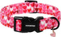 DOGWONG Valentine Dog Collar, Pink Heart Dog Collar, Girl Female Dog Collars with Strong Plastic Buckle for Small Medium Dogs,S