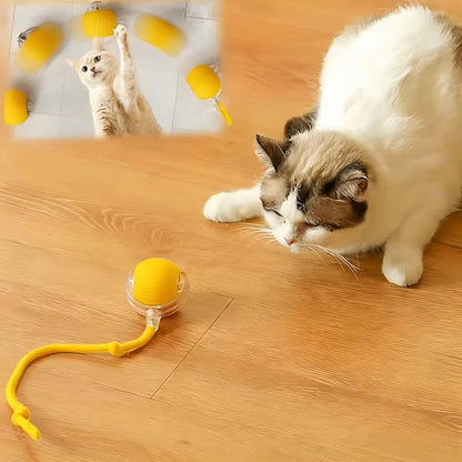 Interactive Cat Toys for Indoor Cats, Agility Move Cat Balls,Motion Activated Cat Balls, Cat Toys for Bored Indoor Cats (Yellow)