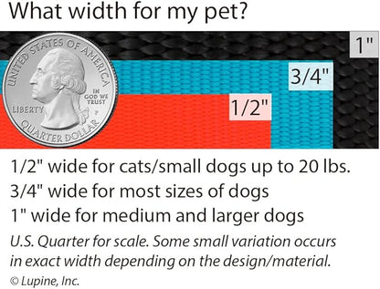 LupinePet Originals 1" Jelly Roll 12-20" Adjustable Collar for Medium and Larger Dogs