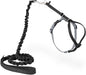 PetSafe Come With Me Kitty Cat Harness & Bungee Leash - Comfortable Cat Harness with Lightweight Bungee Leash for Outdoor Fun - More Secure Walks - Medium - Black