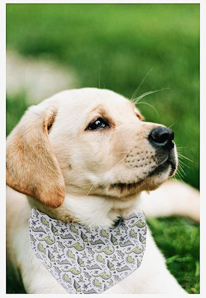 ARING PET Dinosaur Dog Bandanas, Summer Kerchief Triangle Bibs Scarf for Puppy Small Medium Large Boy Girl Dogs Cats-L