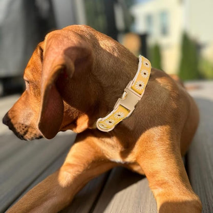 Woven Dog Collar with Metal Buckle Adjustable Jacquard Retro Dog Collars for Small Medium Large Dogs(Daisy,M)