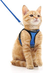 rabbitgoo Cat Harness and Leash Set for Walking Escape Proof, Adjustable Soft Kittens Vest with Reflective Strip for Cats, Comfortable Outdoor Vest, Blue, M