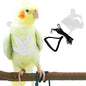 Pet Parrot Bird Harness and Leash, Adjustable Training Design Anti-Bite, Bird Nylon Rope with Cute Wing for Parrots, Suitable for Alexandrine, Scarlet, Keck, Mini Macaw Same Size Birds (White)
