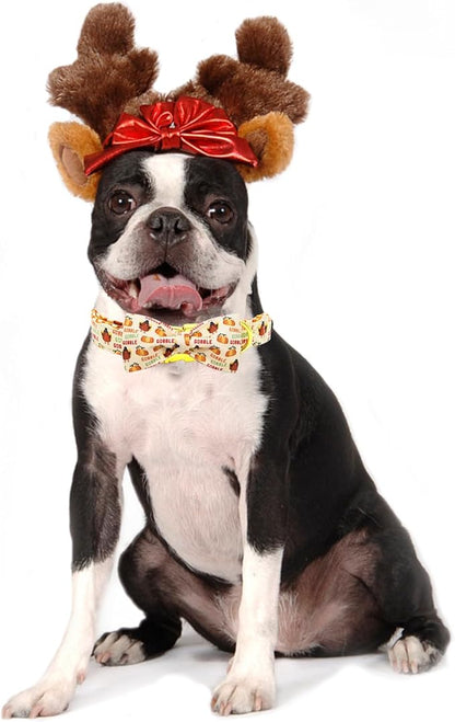 Adjustable Dog Collar for Small Dogs - Thanksgiving Turkey Pet Collar with Bow
