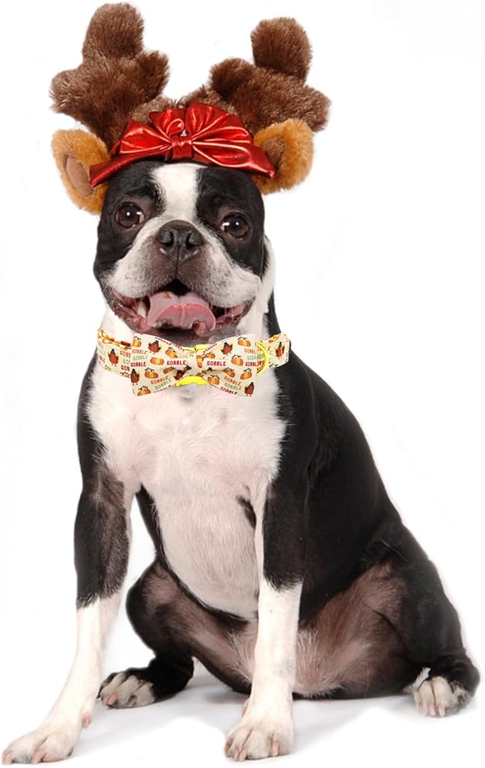 Dog Collar, Thanksgiving Turkey Pet Collar Bow Holiday Girl Boy Puppy Collar Adjustable for Large Dogs