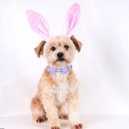 MR. CHUBBYFACE Easter Dog Collar Rabbit Puppy Collar with Bow, Adjustable Pet Collar Bowtie for Small Medium Large Dogs