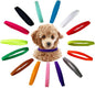 TTSAM 15 Pcs Puppy Id Collars 15 Colors Puppy Whelping Collars Double-Sided Soft Adjustable Dog ID Bands Identification Collar for for Puppies Small Cat Kitten Newborn Pet (Reusable)