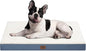 Plush Orthopedic Dog Bed for Medium Dogs & Puppies, Waterproof Dog Beds 30x20 Inch with Removable Washable Cover, Egg Crate Foam Flat Pet Mat, Blue White