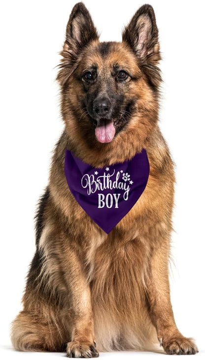 Birthday Boy Dog Bandanas, Dog Birthday Bandana, Birthday Bandana for Small Medium Dog, Pet Accessories for Dog, Happy Birthday Dog Bandana for Boys, Pet Scarf (B16)
