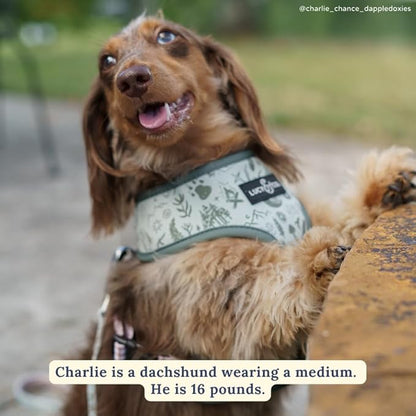 Lucy & Co. Cute Reversible Dog Harness Walking Halter - Best Designer Pet Harnesses for XS - XL Dogs - Padded Adjustable Vest for Easy Walking-Medium-Green Outdoor Plaid