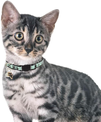 2 Pack Glow in The Dark Cat Collar with Bell Breakaway Safety Cat Puppy Collars with Pendant Red and Black