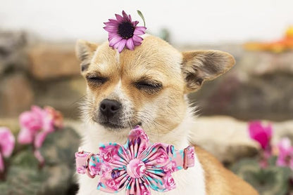 Lionheart Glory Dog Collar, Pink Dog Collar with Flower, Cute Floral Pattern Pet Collar Adjustable Dog Collar for X-Large Dogs