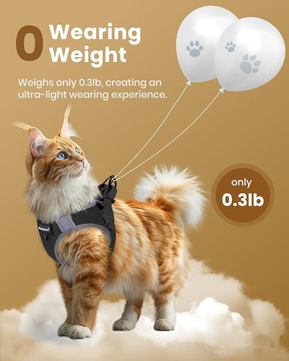 FAYOGOO Cat Harness, Cat Leash and Harness Set for Walking Escape Proof, Harness for Small Cats/Small Dogs, Large Kitten/Puppy Harness and Leash, Harness for Cats S-XXL(Black, XX-Large)