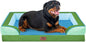 Comfort Expression Orthopedic Dog Bed for Extra Large Dogs 45x35 Inch, Waterproof Egg Crate Foam XL Pet Bed with Removable Bolsters, Dog Couch with Washable Cover & Non-Slip Bottom, Boston