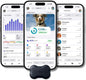 FitBark 2 Dog Activity Monitor | Health & Fitness Tracker for Dogs | Waterproof, Small & Leightweight (10 g) | Not a GPS Tracker