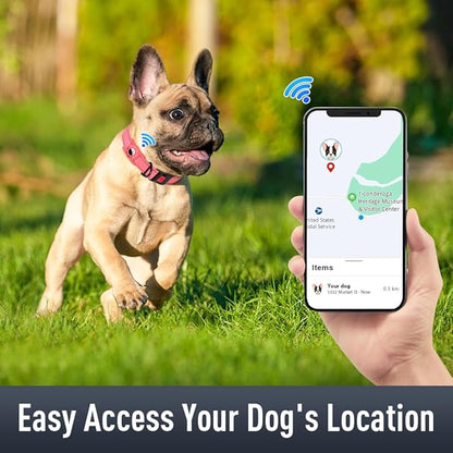 Airtag Dog Collar with AirTag Holder for Small Dogs, Reflective, Soft Padded & Safety Locking Buckle, Nylon Pet Collars Adjustable for All Breeds, Pink,S