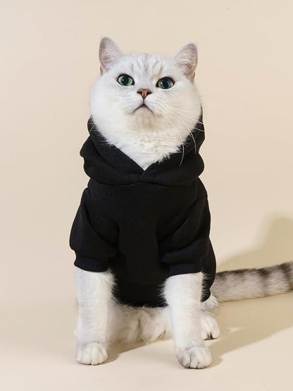 QWINEE Cartoon Bear Print Cat Hoodie Breathable Stretchy Sweatshirts with Hat Warm Cat Clothes for Small Medium Large Cats Dogs Multicolor XXS