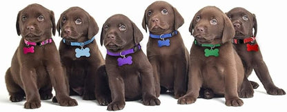 Upgraded Puppy Collars for Litter Puppy ID Collars Whelping Supplies Soft Nylon Breakaway Coloured Collars with 12 ID Tags and 6 Record Keeping Charts(M)