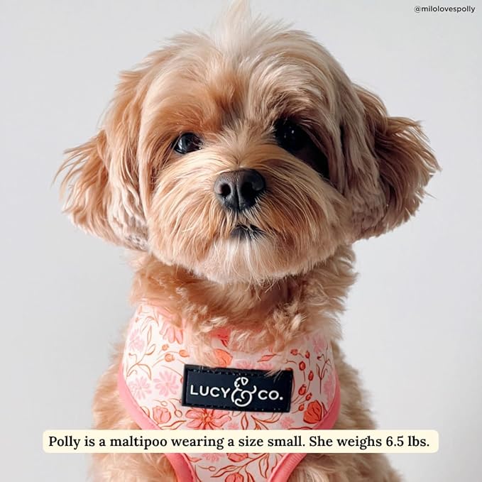 Lucy & Co. Cute Reversible Dog Harness Walking Halter - Best Designer Pet Harnesses for XS - XL Dogs - Padded Adjustable Vest for Easy Walking-Large-Peach Pink Floral Plaid