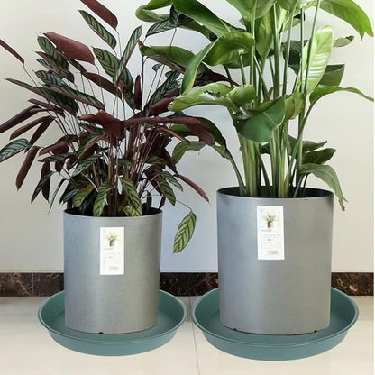 2 Pack of 14 inch Plant Saucer (12.2 Inch Base), 1.7" Depth Tray, Large Deep Garden Plastic Flower Planter Plant Trays for Indoors Outdoor Bath Bath (14", Green)