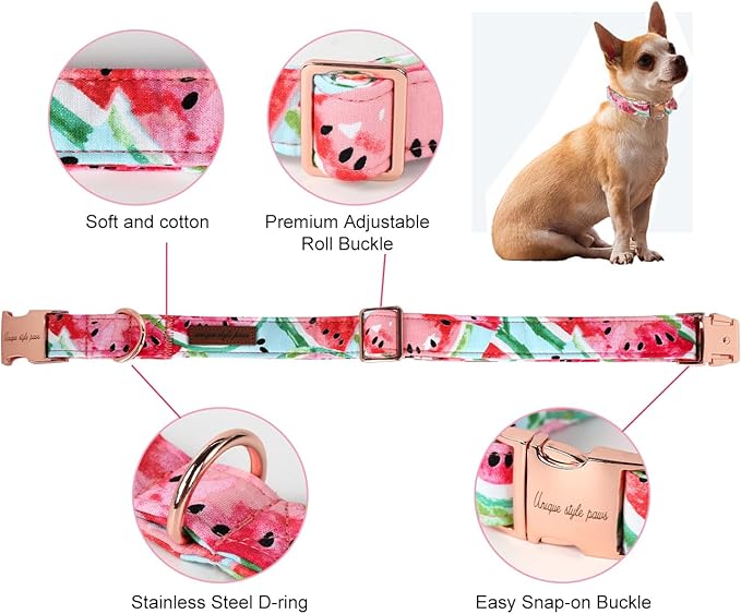 Unique Style Paws Watermelon Collar - Metal Buckle, Durable & Cute for Small, Medium & Large Dogs