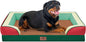 Comfort Expression Orthopedic Dog Bed for Extra Large Dogs 45x35 Inch, Waterproof Egg Crate Foam XL Pet Bed with Removable Bolsters, Dog Couch with Washable Cover & Non-Slip Bottom, Watermelon Mist