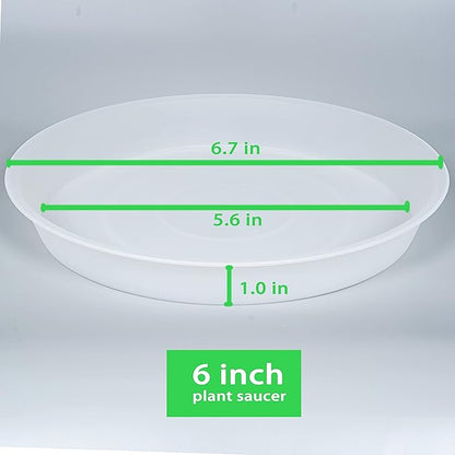 6 Pack Plant Saucer Tray, 4 5 6 8 10 12 13 15 17 19 inch Plant Saucers, Heavy Duty Plastic Plant Drip Trays for Indoors, Flower Plant Water Tray, Plant Trays for Pots Base (6 inch, Clear)