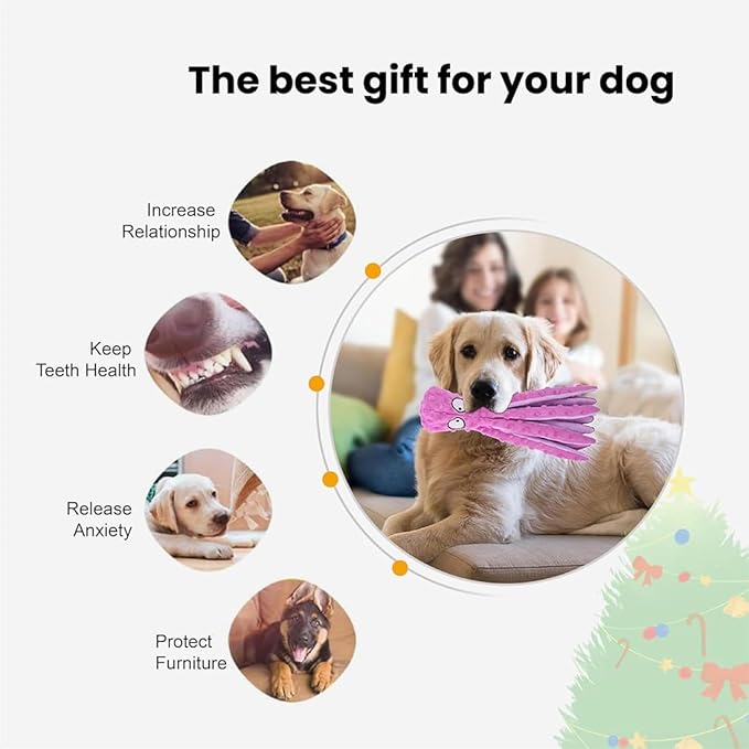 2025 New Upgrade Interactive Chew Pet Toy No Stuffing Bite-Resistant Squeaky Perfect for Puppies, Small and Medium Dogs (2pcs F)