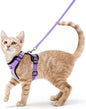 rabbitgoo Cat Harness and Leash for Walking, Escape Proof Soft Adjustable Vest Harnesses for Cats, Easy Control Breathable Reflective Strips Jacket, Light Purple, S