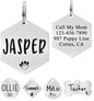 Ultra Joys Custom Personalized Hexagon Dog ID Tag - Brushed Stainless Steel Silver Large