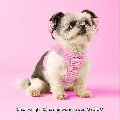 Downtown Pet Supply Step in Dog Harness for Large Dogs - Adjustable, Escape Proof Dog Harness with Reflective Trim - All-Weather, Fast-Drying Padded Mesh Fabric - Baby Pink, XL