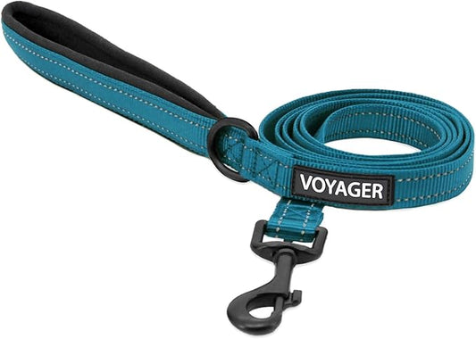 Best Pet Supplies Voyager Reflective Dog Leash or Collar with Neoprene Handle, for Small, Medium, and Large Breed Puppies, Cute and Heavy Duty for Walking, Running and Training - Turquoise Leash, L