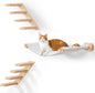 Cat Scraching Post Wall Shelves Set of 3 –1 Floating Fabric Hammock, 2 Cat Wall Ladders with 4 Steps EachWall Mounted Bed Furniture & Climber for Large Cats, Indoor Wall Playground