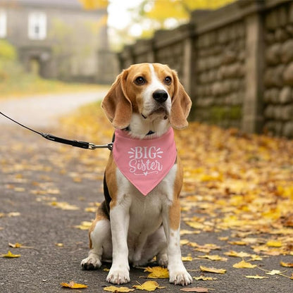 Big Sister Dog Bandana, Pink Pet Dog Scarf Accessories, Pet Triangle Scarf for Small Medium Dogs, Baby Announcement Dogs Bandana (M)