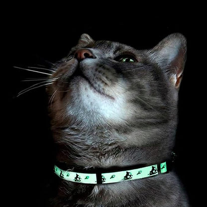 Pawtitas Glow in The Dark Cat Collar with Breakaway Safety Buckle & Bell Adjustable Kitten Collar, Set of 2 GID Teal/Orange