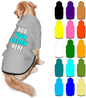 Customized Dog Hoodie with Name Logo Personalized Text Soft & Warm for Puppy Sweatshirt Hooded for Small Medium Large Dogs Girl/Boy Cats/Kitten, Silver, S