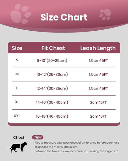 FAYOGOO Cat Harness, Cat Leash and Harness Set for Walking Escape Proof, Harness for Small Cats/Small Dogs, Large Kitten/Puppy Harness and Leash, Harness for Cats S-XXL(Pink, XX-Large)