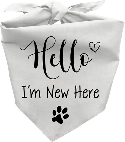 Hello I'm New Here Dog Bandana, New Puppy Reveal Party Photo Prop, Cute New Puppies Announcement Gifts for Dog Owner, Triangle Bibs Scarf for Pets