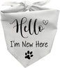 Hello I'm New Here Dog Bandana, New Puppy Reveal Party Photo Prop, Cute New Puppies Announcement Gifts for Dog Owner, Triangle Bibs Scarf for Pets