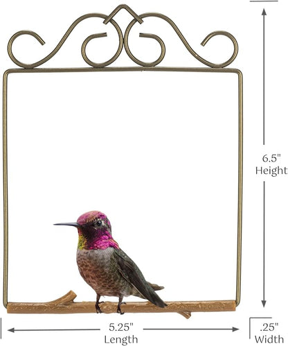 The Original Hummingbird Swing for Outdoors - Perfect Bird Perch for Small Birds - Sturdy Steel Metal Swing Set with Hook Included