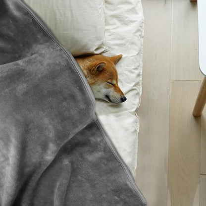 Onarway Dog Blanket Washable for Puppy: 4 Packs Dog Blankets 40”x28” - Fluffy Soft Small Throw for Cat Puppy Kitten Dogs - Fleece Pet Blankets for Bed Sofa Car and Indoor - Light Grey
