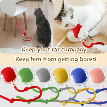 Interactive Cat Toys for Indoor Cats, Agility Move Cat Balls,Motion Activated Cat Balls, Cat Toys for Bored Indoor Cats（Red）