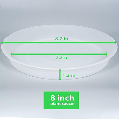 6 Pack of 8 inch Plant Saucer Clear, Heavy Duty Plastic Plant Water Tray 8 inch Round, Flower Plant Saucers for Indoors No Holes, Plant Dishes Saucer for Planter 7"/8" (8", Clear)